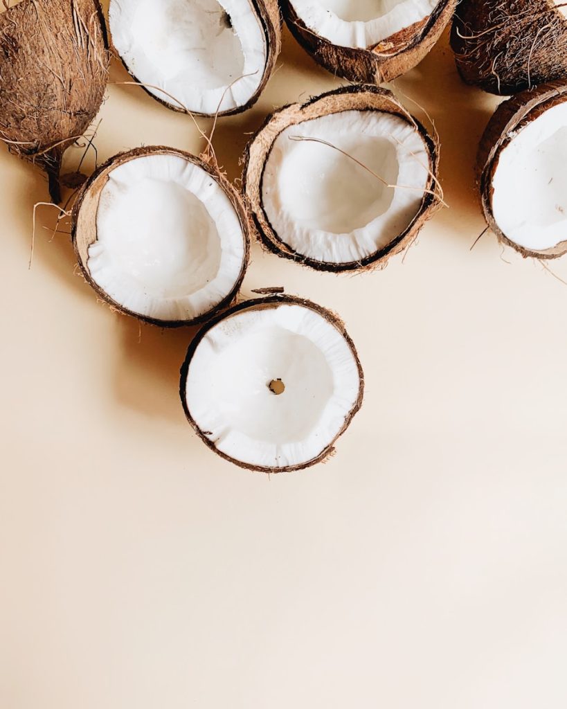 produção de coco no nordeste: um panorama do setor